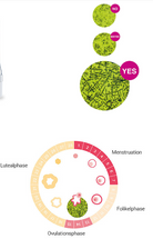 Geratherm Ovu Control Fertility Test – جهاز جيراثرِم أوفو كنترول لاختبار الخصوبة لتحديد أيام الإباضة بدقة وسهولة