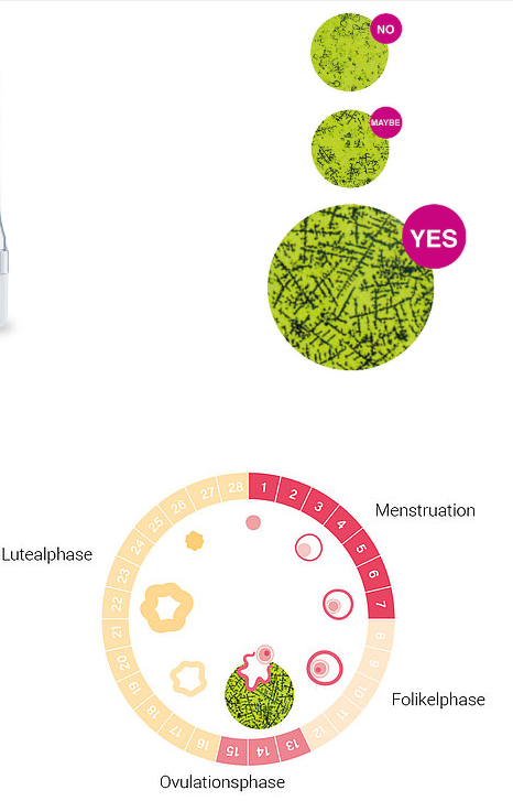 Geratherm Ovu Control Fertility Test – جهاز جيراثرِم أوفو كنترول لاختبار الخصوبة لتحديد أيام الإباضة بدقة وسهولة